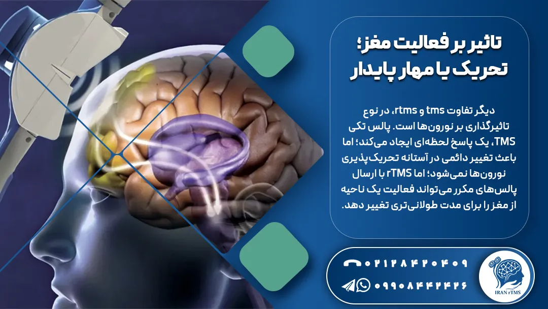 وکتور تاثیر آر تی ام اس بر فعالیت مغز