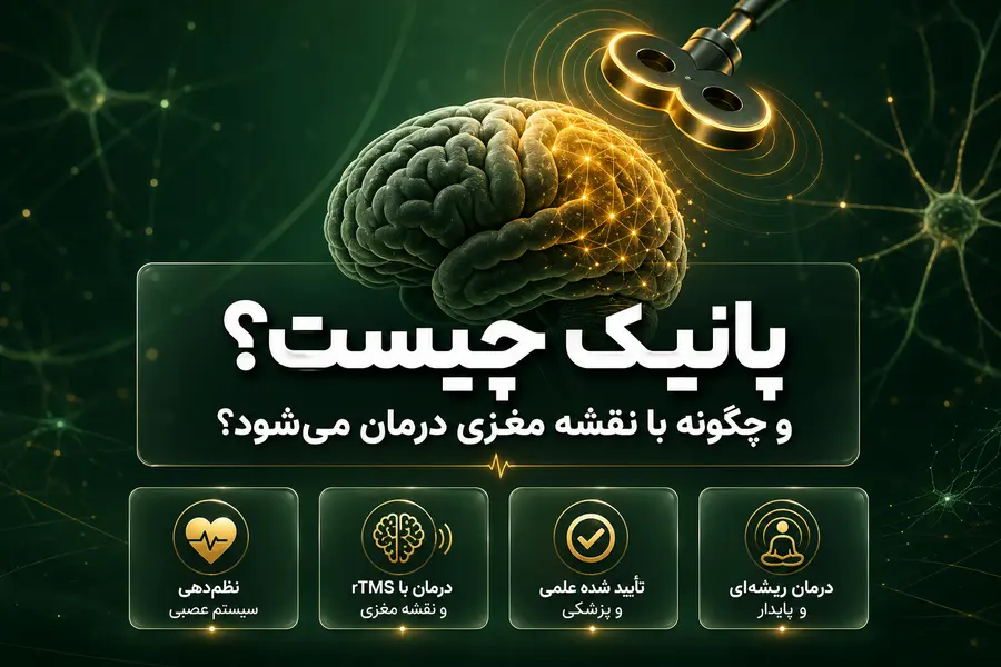 پانیک چیست